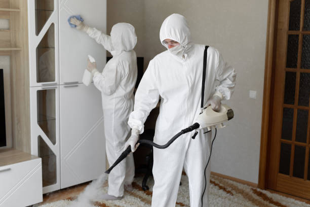 Trusted Sewage Cleanup service in District of Columbia, DC - Four Month Blood Cleanse